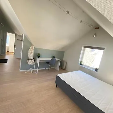 Renewed Loft Close To The Center