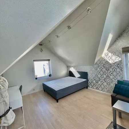 Apartment Renewed Loft Close To The Center