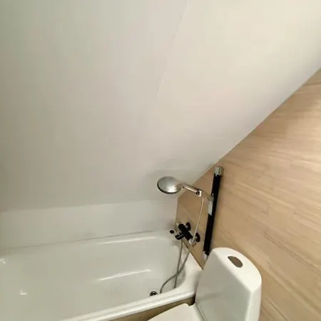 Renewed Loft Close To The Center Apartment