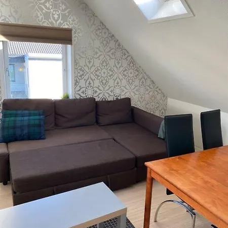 Renewed Loft Close To The Center